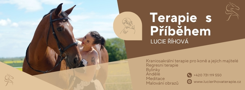 Terapie s příběhem